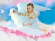 Home » Desktop Wallpapers » Babies & Kids Wallpapers » Baby Flying on a Bird