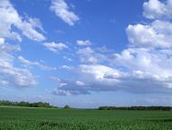 Green Farm and Blue Sky