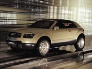 Audi Gold