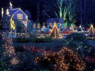 Holiday Lights, Shore Acres State Park, Oregon