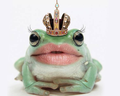 Funny Frog Sexy Lips