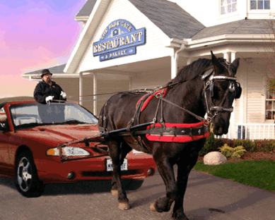 horse-pulling-car.jpg