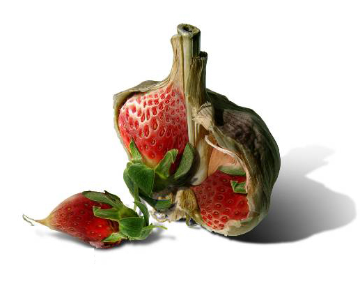 New Strawberry